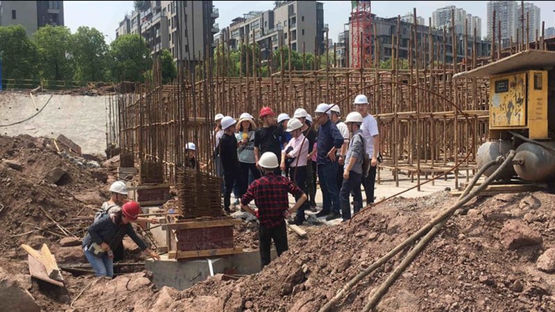 目前市场上常见的冬施混凝土添加剂主要有以下几种：